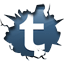Follow Us On Tumblr