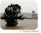 memphisfloods140