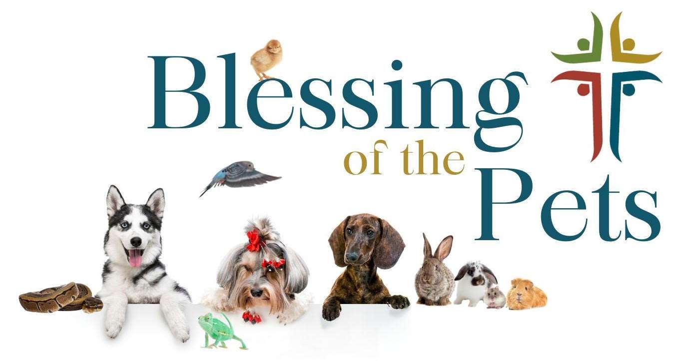 A variety of pets, including a dog, cat, rabbit, guinea pig, bird, snake, lizard, and chick, are arranged in a row under the words Blessing of the Pets with a stylized cross on the right.