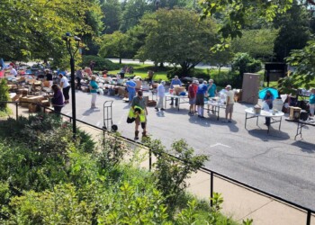 People browse tables filled with items at an outdoor yard sale on a sunny day. Trees and greenery surround the area, and various goods are displayed along the street. Some people carry bags or push carts.