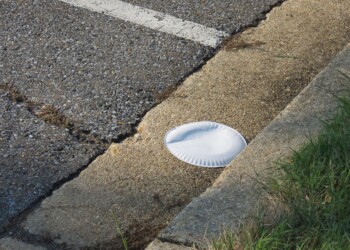 A white paper plate lies discarded on a concrete curb next to an asphalt parking lot with a white painted line, and some grass is visible at the edge of the curb.
