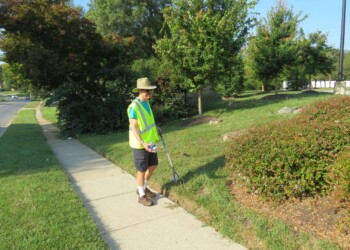 A person wearing a neon yellow safety vest and hat uses a litter picker to collect trash along a sidewalk next to a grassy area with bushes and trees on a sunny day.