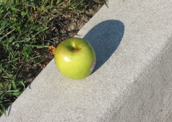 A green apple sits on a concrete surface near some grass, casting a shadow in the sunlight.