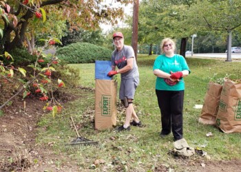Two people wearing gloves stand outside on grass near several large paper lawn bags, a rake, and a tree with red berries; they appear to be gardening or participating in a clean-up activity.