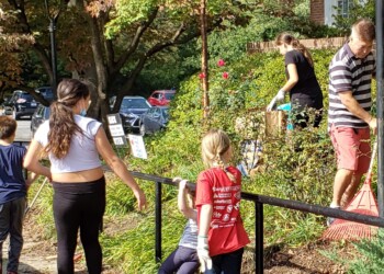 A group of children and adults clean up an outdoor area, raking leaves and picking up trash near a sidewalk with greenery and parked cars in the background.