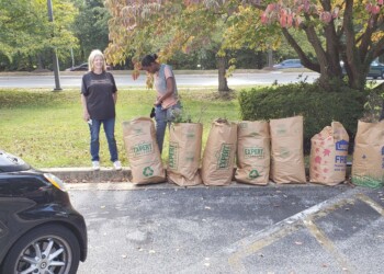 Three people are outdoors next to several large paper bags filled with yard waste, standing by a parking lot and a tree with autumn leaves. A black car is parked on the left side of the image.